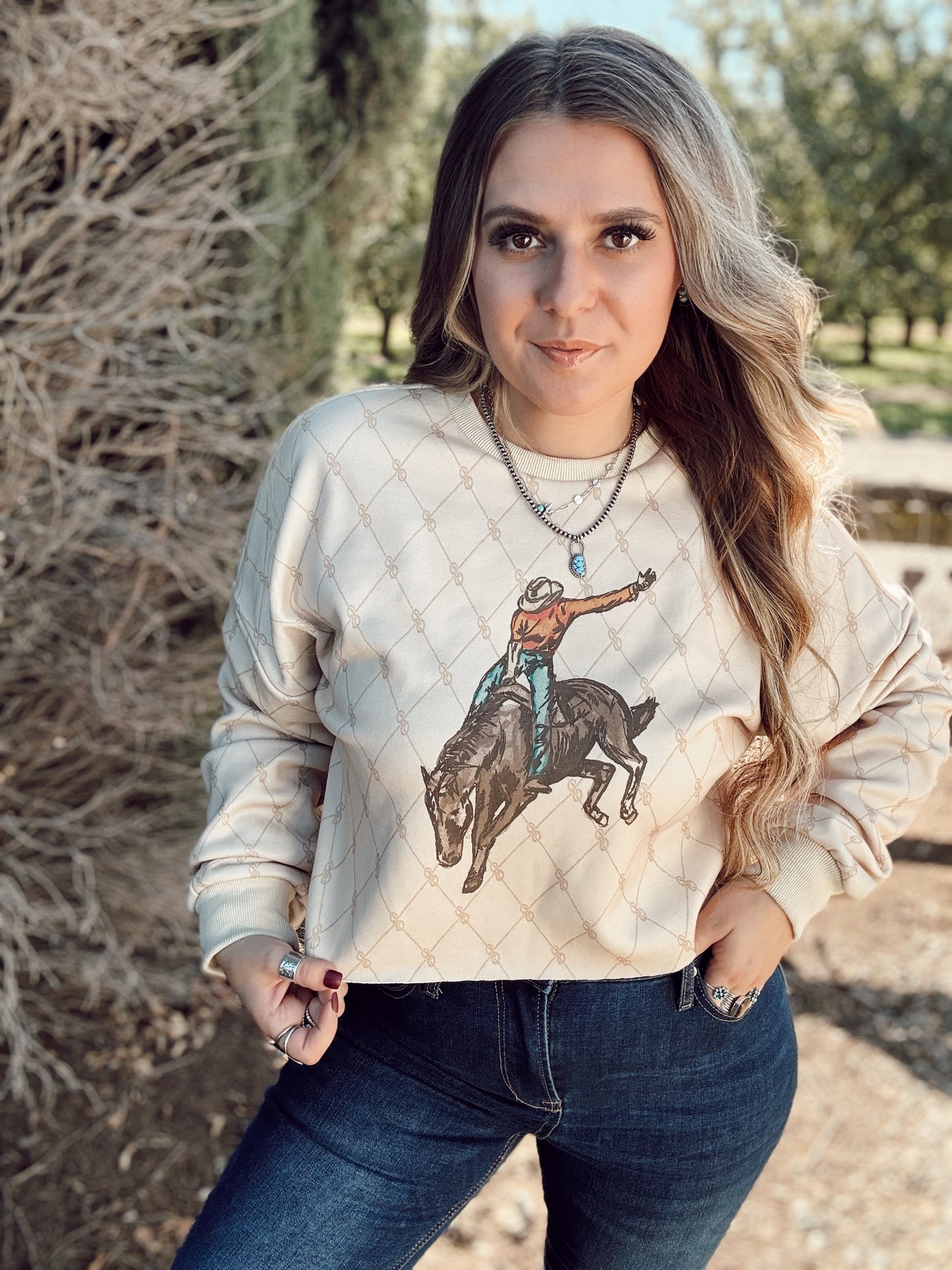 Stagecoach Sweatshirt