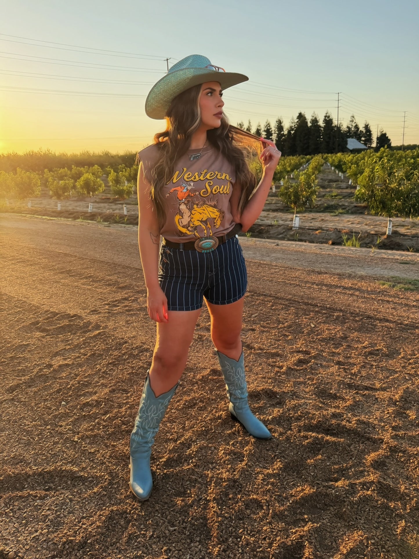Western Soul Tank