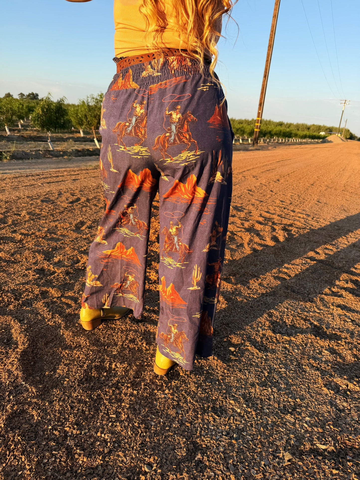 Cowboy Denim Blue Horse Print Pants