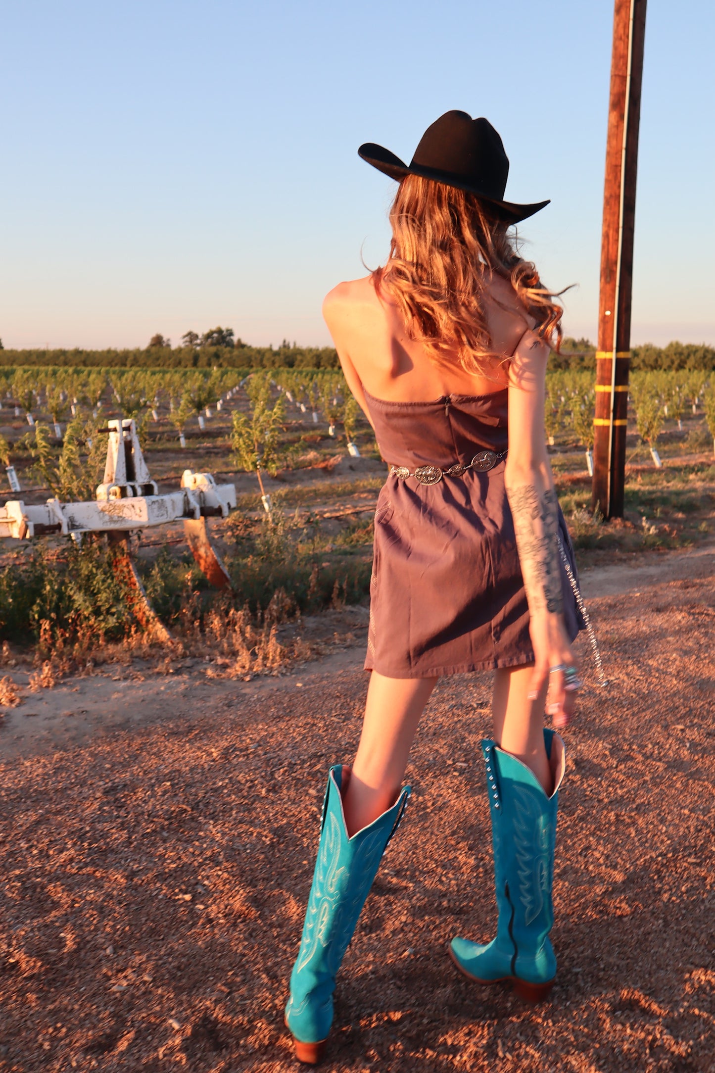 The Cadence Anniversary Dress