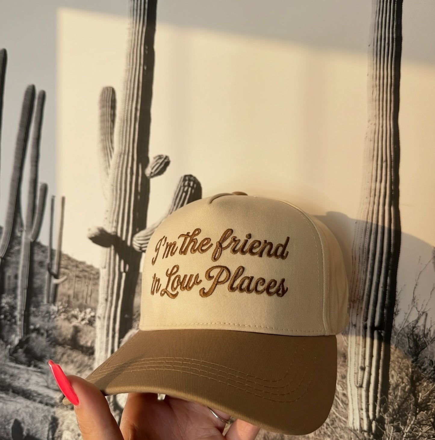 I'm the friend in low places trucker hat