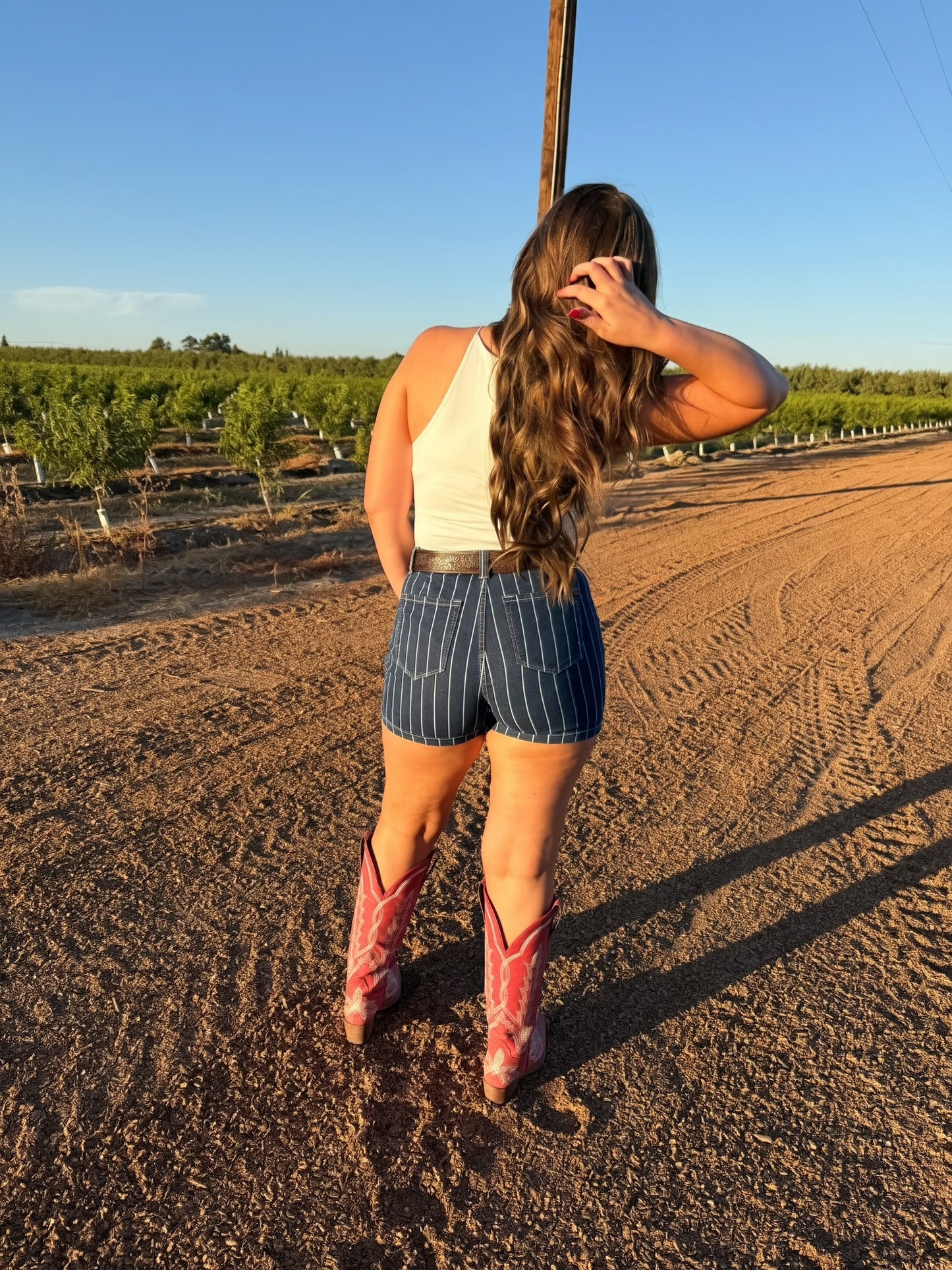 The Blue Ribbon Shorts