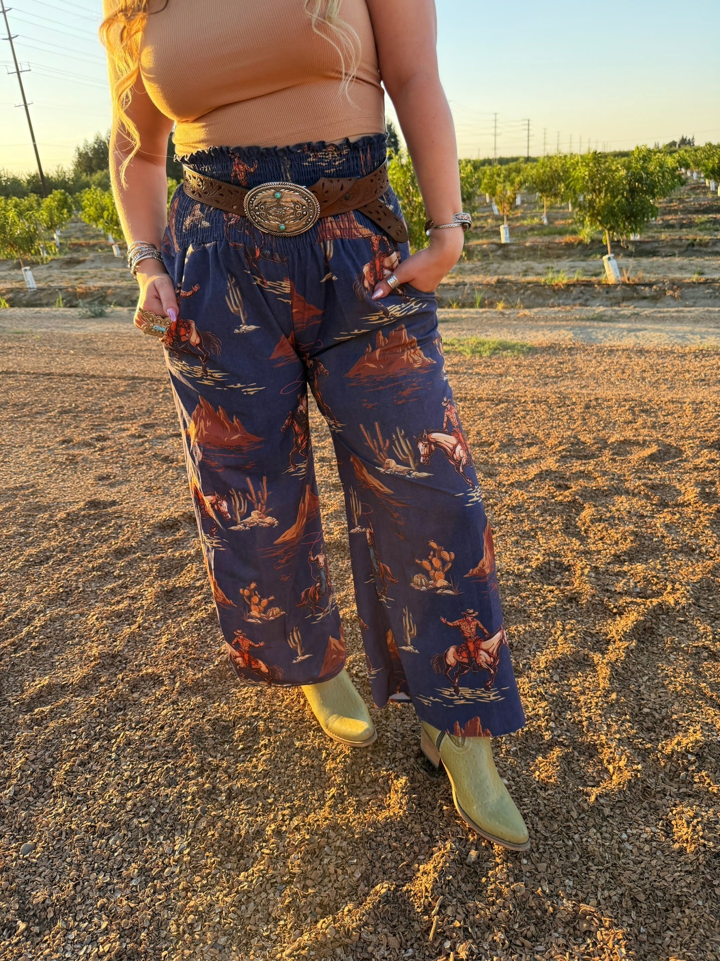 Cowboy Denim Blue Horse Print Pants
