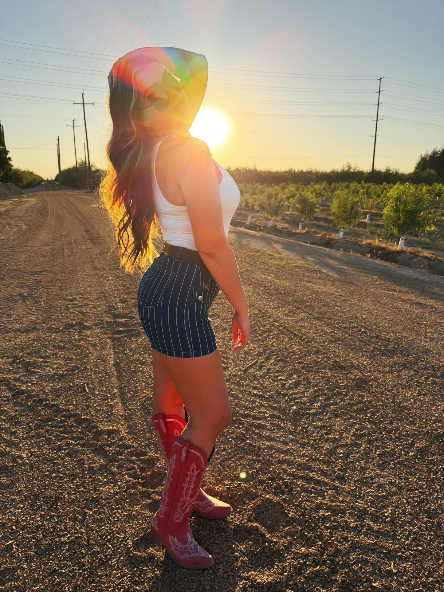 The Blue Ribbon Shorts