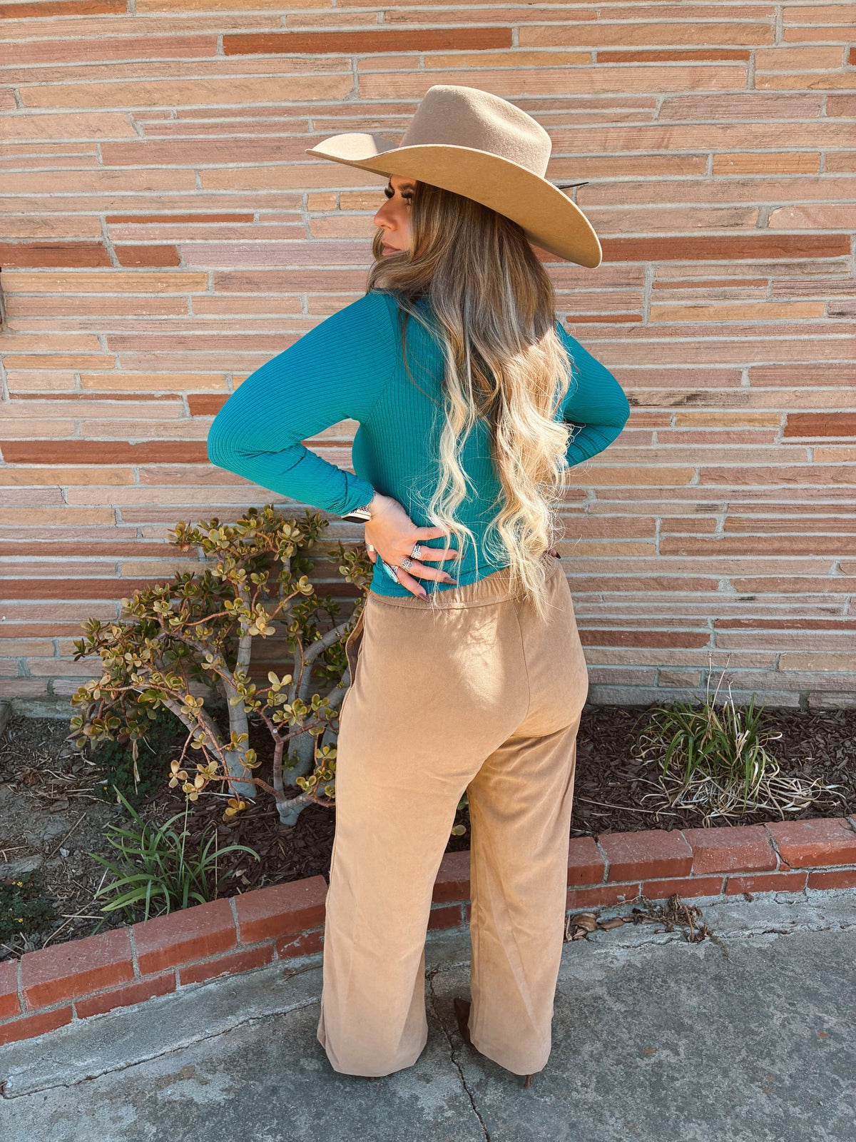 Brown High Waist Wide Leg Suede Touch Twill Pants