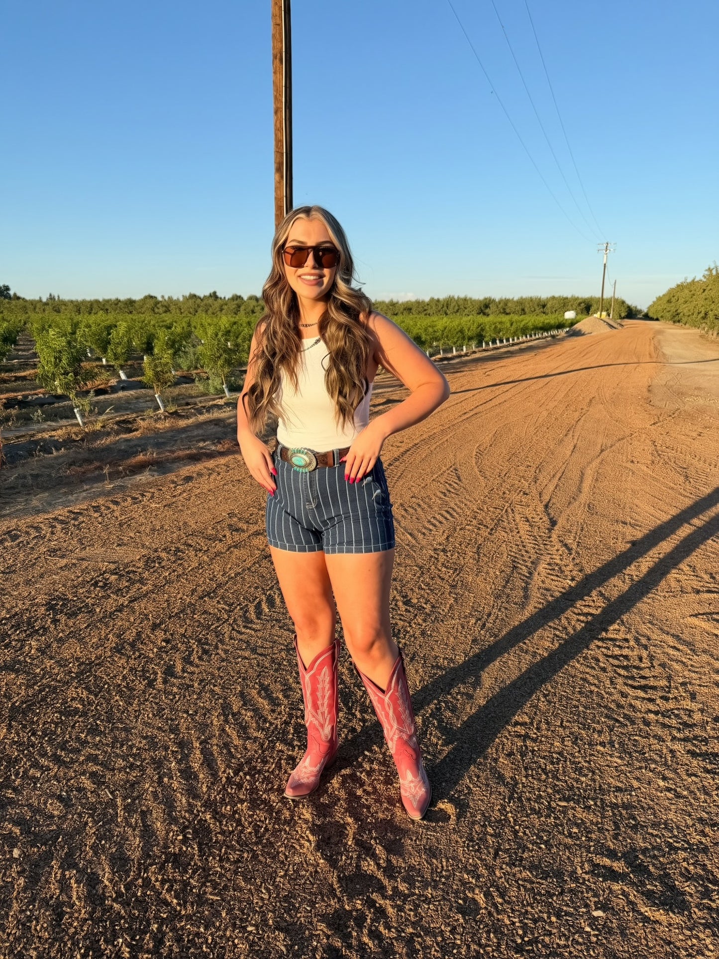 The Blue Ribbon Shorts