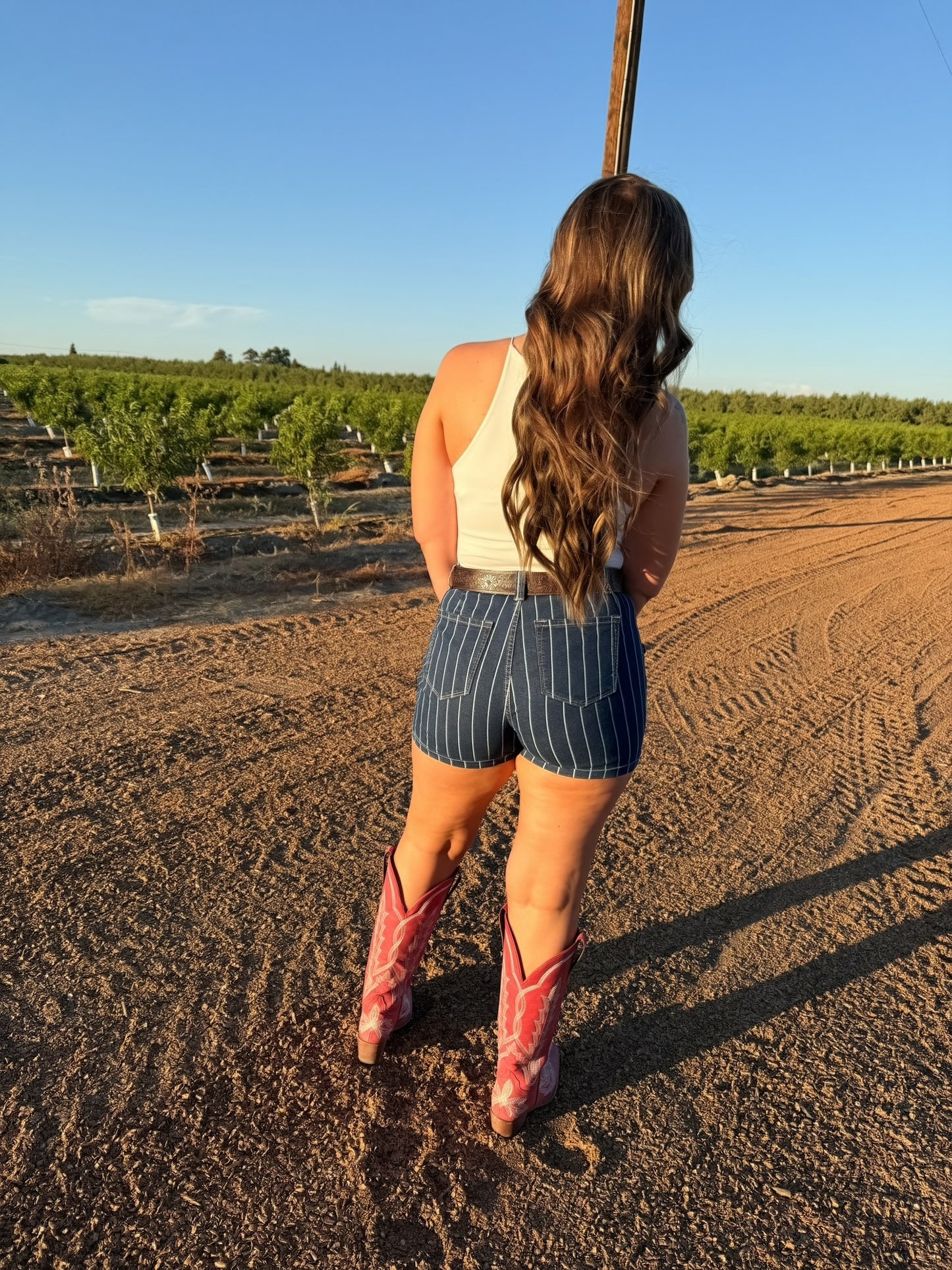 The Blue Ribbon Shorts