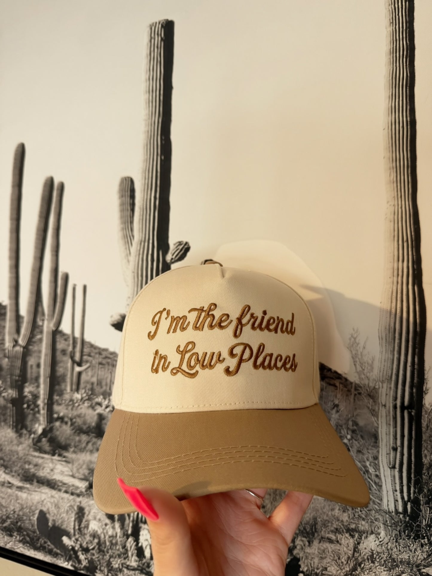 I'm the friend in low places trucker hat