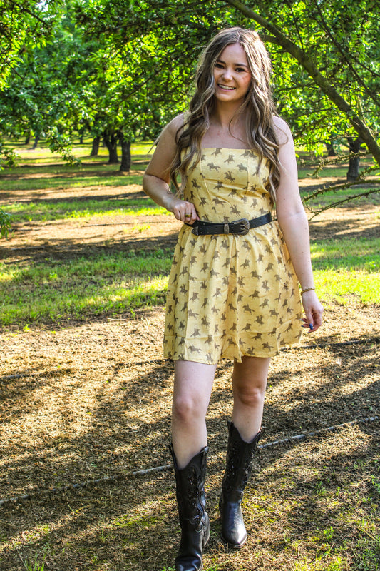 Cowgirl Canyon Rider Dress