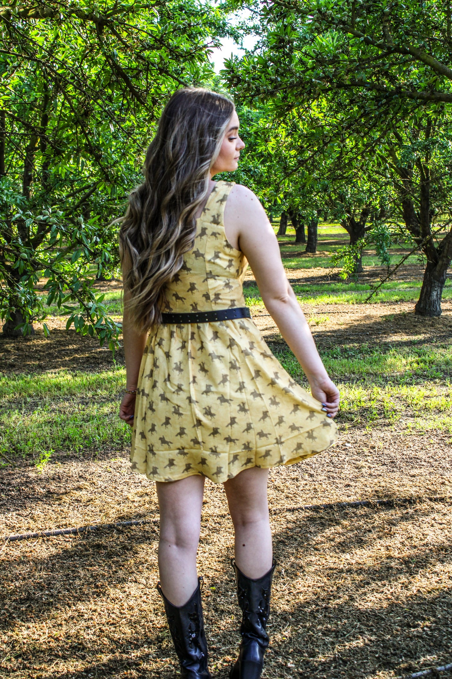 Cowgirl Canyon Rider Dress