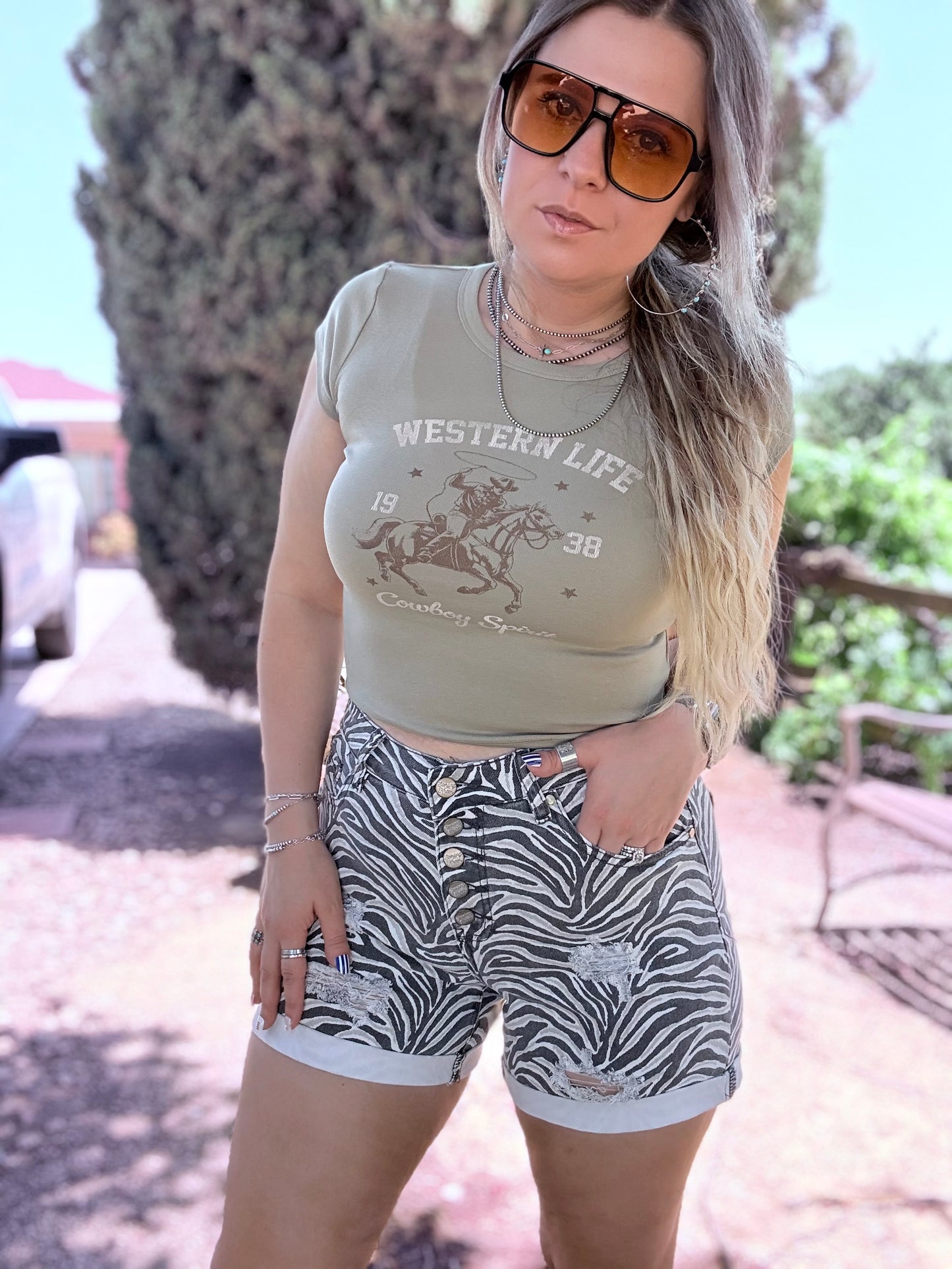 Tennessee Walking Zebra Shorts