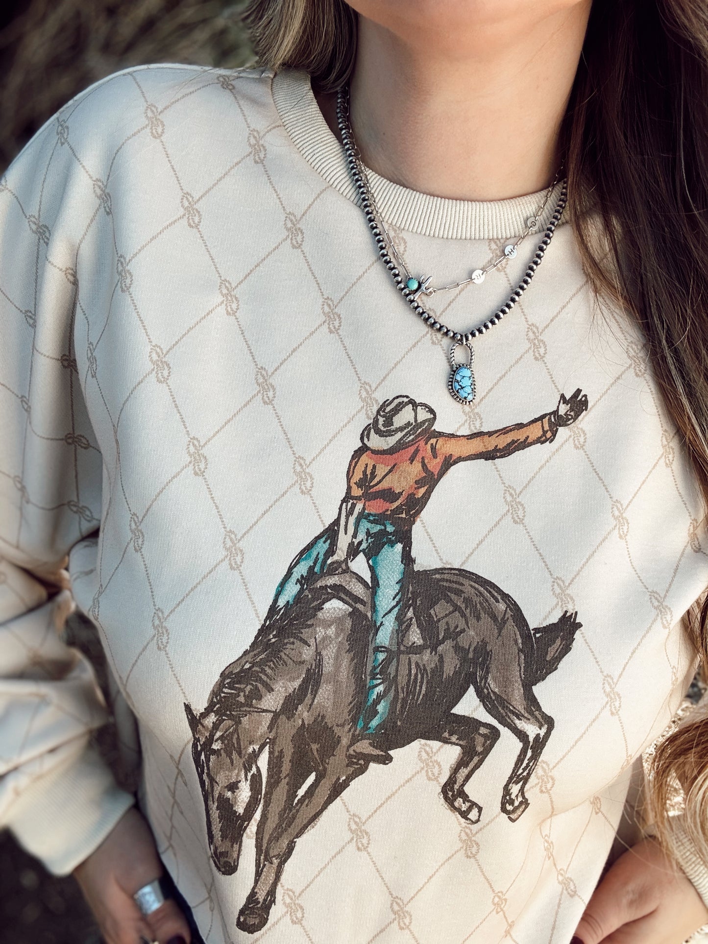 Stagecoach Sweatshirt