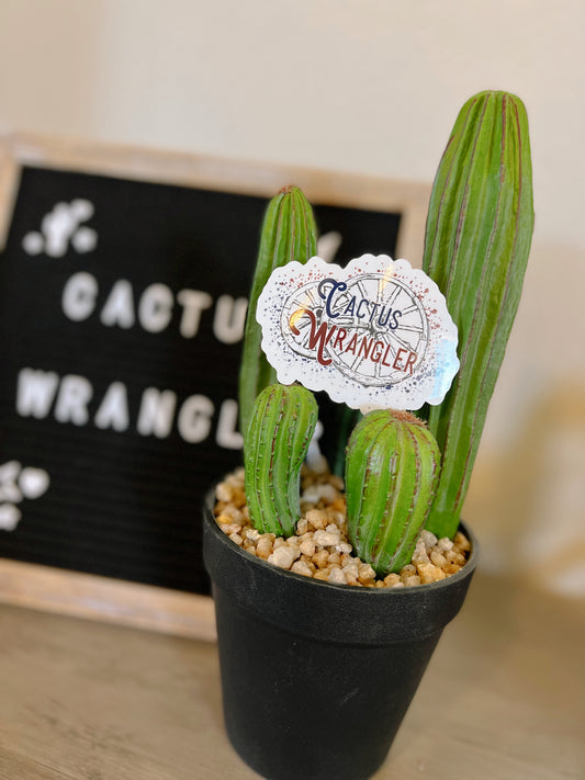 Cactus Wrangler logo sticker
